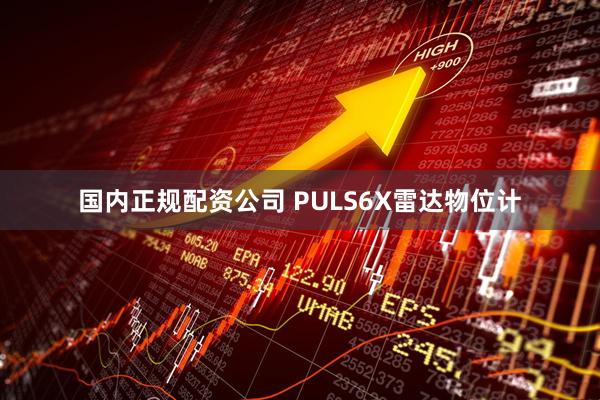 国内正规配资公司 PULS6X雷达物位计